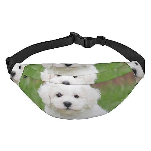 Blaugrün Reise Laufen Große Crossbody Tasche Herren Und Frauen Sport Taille Tasche Crossbody Tasche, Bichon Frisé Hund, Einheitsgröße von COMAAM