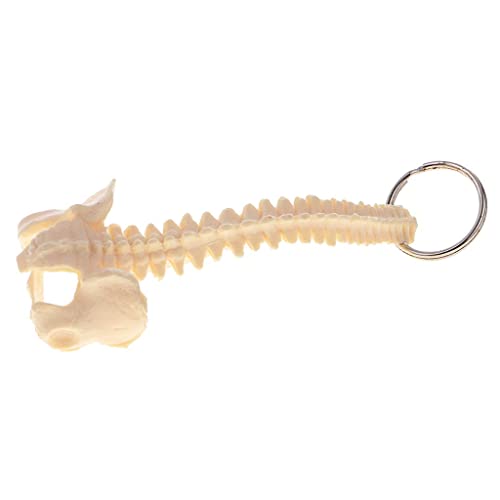 CUTICATE Mensch Anatomie Wirbelsäule Skeleton Schlüsselanhänger Anhänger Schlüsselring Schlüsselbund CUTICATE Mensch Anatomie Wirbelsäule Skeleton Schlüsselanhänger Anhänger Schlüsselring Schlüsselbund von CUTICATE
