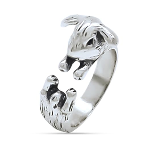 Silber Ringe, 925 Sterling Silber Versprechen Ringe, Dämonenauge Eule Ring Retro Offen Verstellbar Eule Ring Verlobungsringe Ehering Frauen Geschenk (Aluminiumlegierung) von CZNBZIU