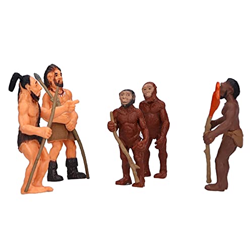Menschliches Figurenspielzeug, Simuliertes Alter Mensch Statisches Modellspielzeug, Entwicklungen der Menschen Simulierte Menschen Fand Alte Menschliche Statue -Spielzeughome Menschliches Figurenspielzeug, Simuliertes Alter Mensch Statisches Modellspielzeug, Entwicklungen der Menschen Simulierte Menschen Fand Alte Menschliche Statue -Spielzeughome von CaCaCook