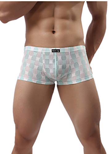 Herren Boxershorts Sexy Ultra Dünn Atmungsaktive EIS Seide Transparent Unterwäsche Männer Unterhose Low Rise Beutel Bequem Boxer Briefs Shorts Pants (M, Hell blau) von Canarea