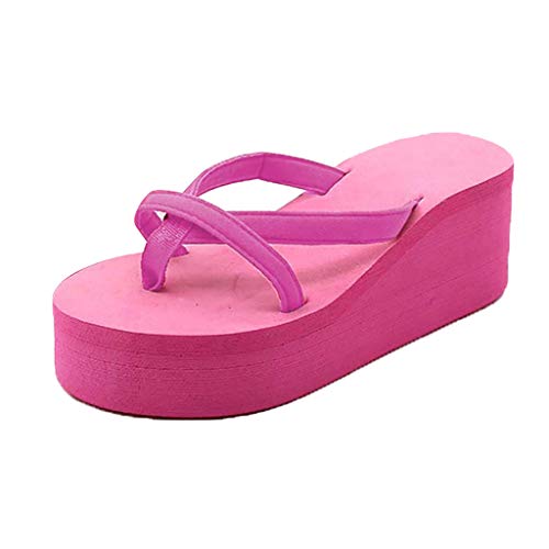 Damen Zehentrenner Sommer Zehenstegsandalen mit Keilabsatz Plateau, Frauen Flip Flops Bequeme Strandpantolette Einfarbig Sandalen für Urlaub Strand Celucke (Pink, EU40) von Celucke Sandalette