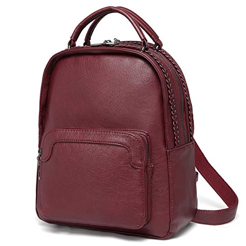 Rucksack Damen，Chasechic Casual Damen Rucksack Anti-Diebstahl Rucksack Damen Vegan Leder Kleine Mode Umhängetasche mit Vintage Weave von Chase Chic