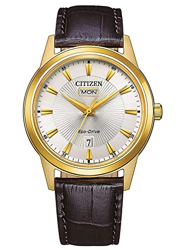 Citizen Herren Analog Japanisches Quarzwerk Uhr mit Leder Armband AW0102-13AE von CITIZEN