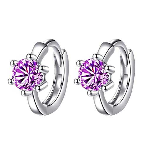 Clicitina Mädchen Ohrringe Echt Silber Mode Persönlichkeit Temperament Ohrringe für Frauen Schmuck Geschenke (Purple, One Size) von Clicitina