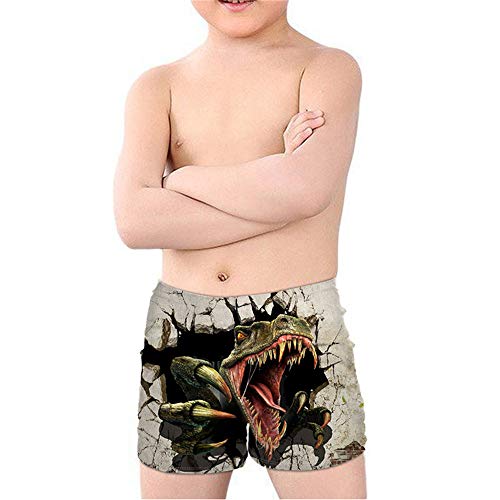Coloranimal Teenager Boy Cool Animal T-Rex Dinosaurier Badehose Batjing Anzug Strand Board Shorts Swinwear Quick Dry 5-14Y, Dinosaurier 04, 9-10 Jahre von Coloranimal