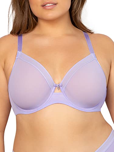 Curvy Couture Damen Sheer Unlined Underwire Plunge BH mit voller Abdeckung, Durchsichtig, Lavendel-Spray, 95G Curvy Couture Damen Sheer Unlined Underwire Plunge BH mit voller Abdeckung, Durchsichtig, Lavendel-Spray, 95G von Curvy Couture