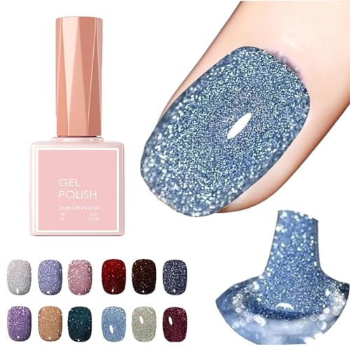 High Density Glitter Nail Gel Polish, 12 Colors Reflective Glitter Gel Nail Polish Set, High Density Glitter Nail Polish, Holographic Glitter Nail Polish Manicure Set, Diy Manicure for Home (18ml,001) von DANC