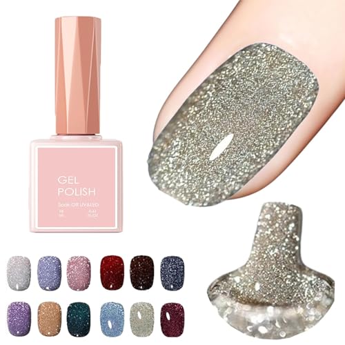 High Density Glitter Nail Gel Polish, 12 Colors Reflective Glitter Gel Nail Polish Set, High Density Glitter Nail Polish, Holographic Glitter Nail Polish Manicure Set, Diy Manicure for Home (18ml,006) von DANC