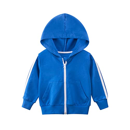 Jungen Jacke Baby Schlichtes Blau Baumwolle Sweatjacke Dünne Fleece Kapuzenjacke Frühling Jacken für Kinder 98 von DAWILS