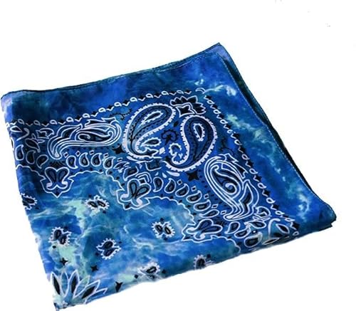 Dhobia Bandana Gesichtstuch Face Mask Kopftuch Halstuch 100% Baumwolle mit original Paisley Muster (Stone Wash 2) von DHOBIA