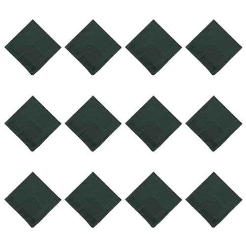 DINSOAVR Taschentuch, saugfähig, Baumwolle, quadratisch, für Herren, einfarbig, Halstuch, Einstecktuch, Schweißtuch, Einstecktuch, Einstecktuch, Einstecktuch, Einstecktuch, 12 Stück DINSOAVR Taschentuch, saugfähig, Baumwolle, quadratisch, für Herren, einfarbig, Halstuch, Einstecktuch, Schweißtuch, Einstecktuch, Einstecktuch, Einstecktuch, Einstecktuch, 12 Stück von DINSOAVR