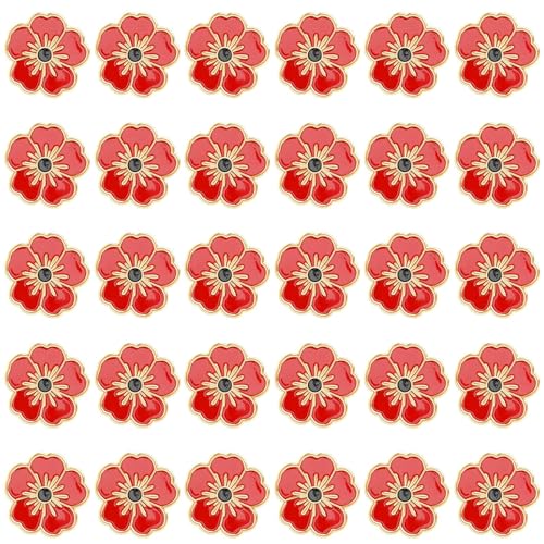 DTOFOOT Anstecknadeln mit Mohnblumen, Gedenktag, Mohnblumen-Brosche, Anstecknadeln für Kleidung, Hut, Tasche, Rucksack, Dekoration, 72 Stück DTOFOOT Anstecknadeln mit Mohnblumen, Gedenktag, Mohnblumen-Brosche, Anstecknadeln für Kleidung, Hut, Tasche, Rucksack, Dekoration, 72 Stück von DTOFOOT