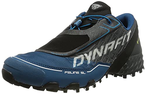 Dynafit Herren Feline Sl GTX Laufschuhe, Kohlenstoff, Frost, 41 EU von DYNAFIT