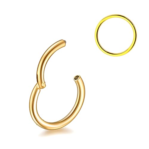 Decentraland 1 STÜCK 14G Gold Durchmesser 10mm Septum Scharnier Nasenring Tragus Orbitalknorpel Schmuck 316L Edelstahl Hypoallergen Ohrring Conch Ring Piercing Schmuck für Frauen und Männer von Decentraland