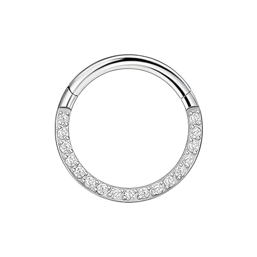 Decentraland 1 Stück 16G Silber Durchmesser 8 mm 316L Edelstahl Nasensegmentringe Hoop mit Zirkon Scharnier Septum Clicker Ring Helix Knorpel Tragus Piercing Schmuck für Frauen und Männer von Decentraland