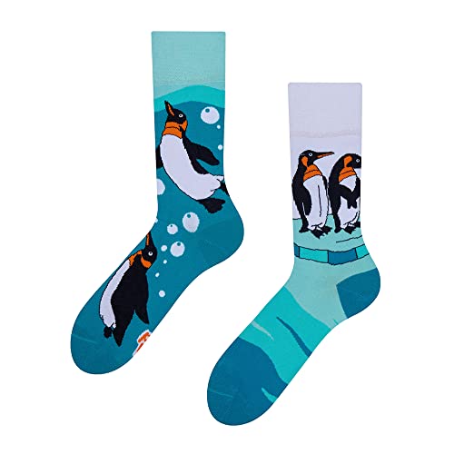 Dedoles Socken Unisex Damen Herren & Kinder Baumwolle viele lustige Designs 1 Paar Geschenk links rechts verschieden, Farbe Blau, Motiv Pinguine, Gr. 39-42 von Dedoles