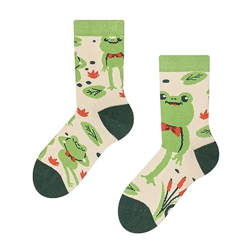 Dedoles Socken Kinder Mädchen Jungen Baumwolle viele lustige Designs Weihnachtssocken 1 Paar, Farbe Grün, Motiv Kleiner Frosch, Gr. 31-34 von Dedoles