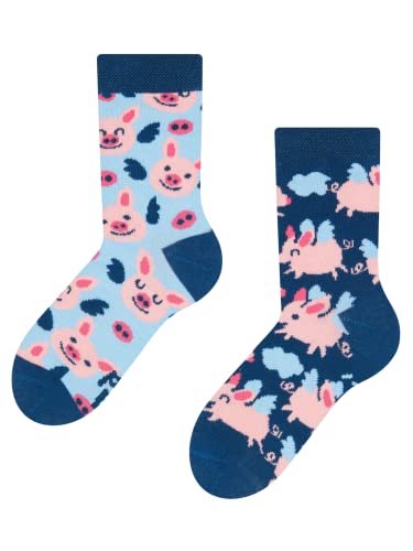 Dedoles Socken Kinder Mädchen Jungen Baumwolle viele lustige Designs Weihnachtssocken 1 Paar, Farbe Blau, Motiv Fliegende Schweinchen, Gr. 23-26 von Dedoles