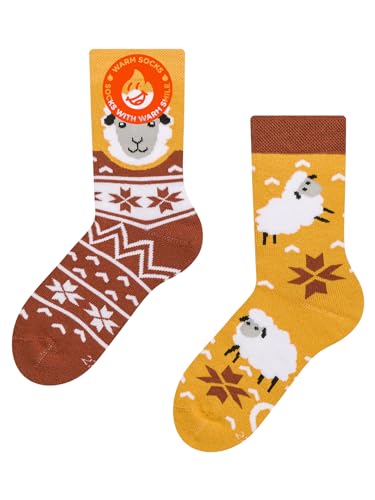 Dedoles Socken Unisex Damen Herren & Kinder Baumwolle viele lustige Designs 1 Paar Geschenk links rechts verschieden, Farbe Orange, Motiv Schaf im Pullover Wärmesocken, Gr. 35-38 von Dedoles