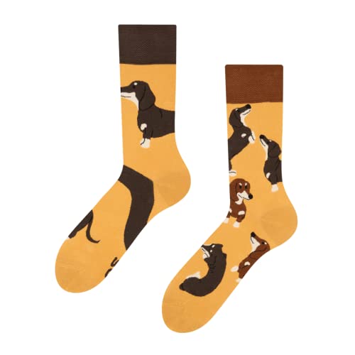 Dedoles Socken Unisex Damen Herren & Kinder Baumwolle viele lustige Designs 1 Paar Geschenk links rechts verschieden, Farbe Gelb, Motiv Dackel, Gr. 35-38 von Dedoles