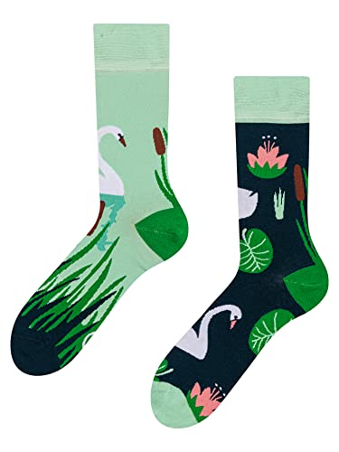 Dedoles Socken Unisex Damen Herren & Kinder Baumwolle viele lustige Designs 1 Paar Geschenk links rechts verschieden, Farbe Grün, Motiv Weißer Schwan, Gr. 39-42 von Dedoles