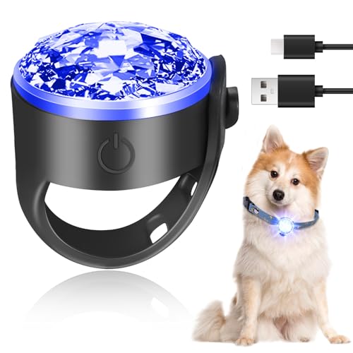 Rechargeable Pet Tag Light, Leuchtanhänger Hund Aufladbar, USB Wiederaufladbar LED Nachtlicht Halsbandschmuck, Wasserdicht Haustier Lichter Ideal für nächtliche Hundespaziergänge Camping Radfahren von Delamiya