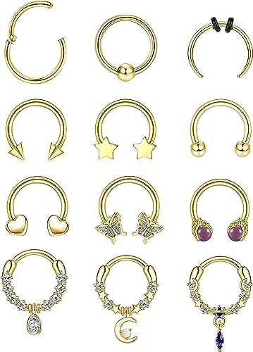 Diamday 12PCS 16G Septum Ringe Set Clicker Nasenring Hoop Damen Herren Edelstahl CZ Baumeln Septum Ringe Hufeisen Piercing Helix Tragus Ohrring Lippen Ringe Hufeisenringe Nase Augenbraue Piercing von Diamday