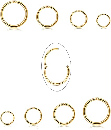 Diamday 16G Nasenpiercing Ring für Damen Herren 316L Chirurgenstahl Nasenringe Hoop Aufklappbares Clicker Segment Lippen Nase Ring Knorpel Hoop Ohrringe Clicker Segmentring Piercing von Diamday