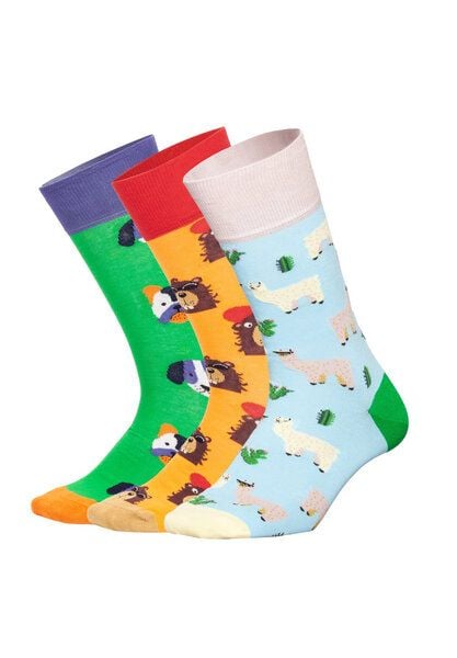 DillySocks AG Socken „Paws & Friends Mit Geschenkbox“ DillySocks AG Socken „Paws & Friends Mit Geschenkbox“ von DillySocks AG