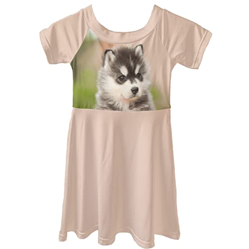Dolyues süßes Baby Husky Dog Print Mädchen Sommer Mode Kleider Casual Kurzarm Kleid Kinderkleidung Alter 3-14 Jahre von Dolyues