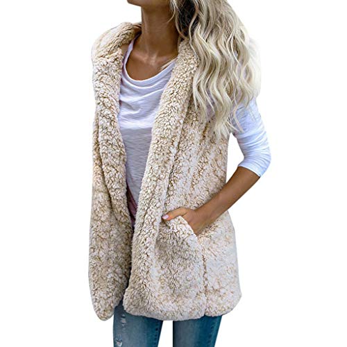 Winterweste Damen, Elegant Fleece Warm Teddy Fleece Weste Plüschweste Taschen Reißverschluss Klassischer Winterweste Fleece Weste Standkragen Winter Ärmellose Fleeceweste Fellweste von DondPO