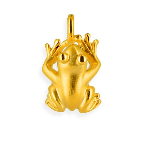 Drachenfels kleiner Frosch-Anhänger in Echtsilber goldplattiert | Kollektion Froschkönig | Anhänger aus 925 Sterling Silber | Froschanhänger für Halskette | D BFR 31/AGG von Drachenfels Design