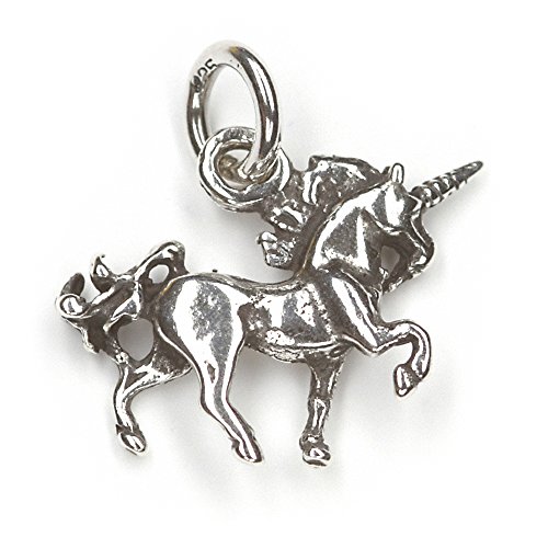 Drachensilber Einhorn Anhänger Schmuck Silber mystischer 925er Silber Fantasy Kettenanhänger Kinder Damen von Drachensilber