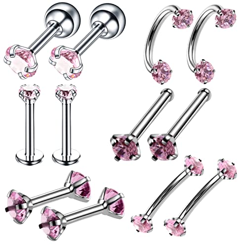 Dsnyu 12 Stück Nostril Piercing Ring, Piercing Nasenstecker Hoop Frauen Männer, Edelstahl Silber Modisch Lippen Ohren Ringe Piercing mit Rosa Zirkon von Dsnyu