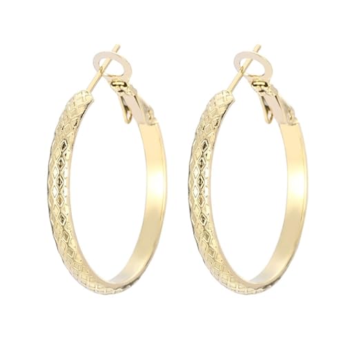 Stainless Steel Earrings, Gold Ohrringe Großer Kreis Creolen Damen Schmuck Ohr Piercings Jahrestag Geschenk von Dsnyu