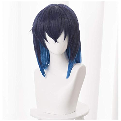 EQWR Haarteile Demon Slayer: Kimetsu no Yaiba, Anime Cosplay Rose Net Perücken Hochtemperaturbeständige Faser Kurzes Haar Navy 16 Zoll EQWR Haarteile Demon Slayer: Kimetsu no Yaiba, Anime Cosplay Rose Net Perücken Hochtemperaturbeständige Faser Kurzes Haar Navy 16 Zoll von EQWR