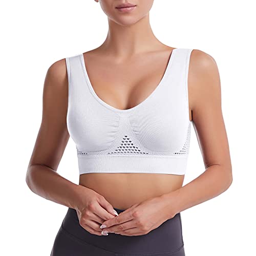 EWFAS Bustier Damen BH ohne Buegel Wohlfühl Bustiers Top Bügelloser Soft Bra Schlaf Still Sport Bralette in vielen Farben Die ultimative Komfort-BH Freizeit hochwertige Unterwäsche von EWFAS