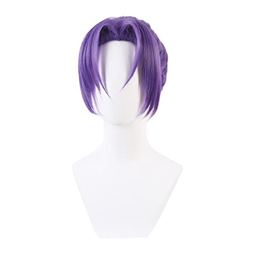 Cosplay Perücke lila einteiliges Haargummi Styling Anime Charakter Persönlichkeit Mode männlich und weiblich Universal Perücke Haarset Modedekoration von EkeNoz