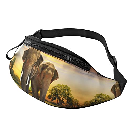 Entzückende Faultier-Print Herren und Damen Freizeit Sport Hüfttasche Outdoor Sport Fanny Pack Alltag Casual Brusttasche, Elefantenmotiv, Einheitsgröße von FFEXS