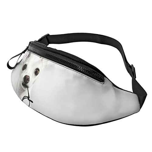 Entzückende Faultier-Print Herren und Damen Freizeit Sport Hüfttasche Outdoor Sport Fanny Pack Alltag Casual Brusttasche, Süßer Chihuahua-Druck, Einheitsgröße von FFEXS