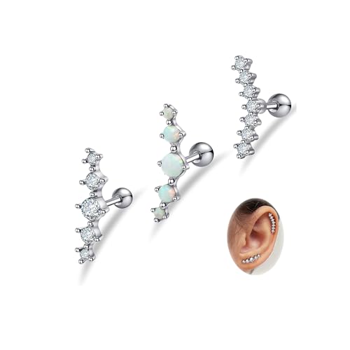 FIOROYAL 16G Helix Piercings Chirurgenstahl für Damen Tragus Helix Piercing Ohr CZ Tragus Helix Piercings Schmuck für Mädchen Silver von FIOROYAL