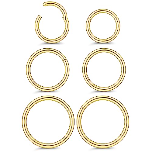 FIOROYAL 6 STK 16G Titan Nasenpiercing Ring Clicker Helix Piercings für Damen Herren Conch Tragus Helix Septum Nasenring Ohr Piercing Gold von FIOROYAL