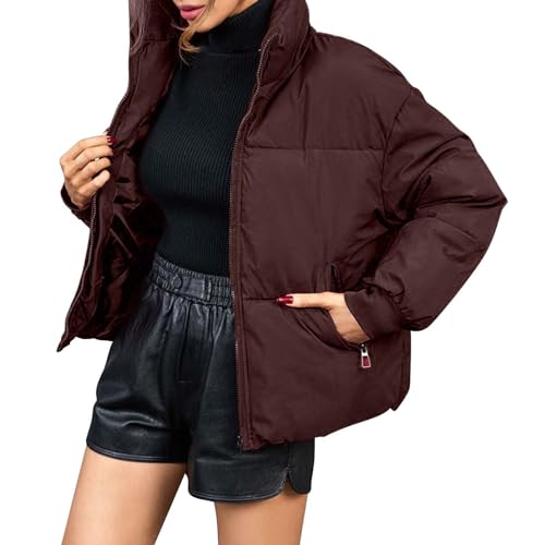 FNKDOR 2023 Winterjacke Damen Kurz Zip up Stehkragen Steppjacke Daunenjacke Pufferjacke (Coffee, XL) von FNKDOR