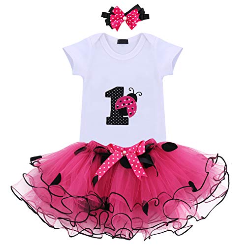 FYMNSI Baby Mädchen 1. Geburtstag Kleid Säugling Erster 1 Jahr Geburtstagsoutfit Kurzarm Body Strampler Prinzessin Tütü Tüll Rock mit Stirnband 3tlg Fotoshooting Bekleidungsset Rose Marienkäfer von FYMNSI