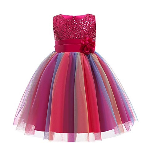 Kinder Mädchen Pailletten Kleid Blumenmädchen Regenbogen Tüllkleid Hochzeit Brautjungfer Tütü Prinzessin Kurzes Partykleid Kleinkinder Geburtstagskleid Ballkleid Ärmellos Sommerkleid Rose 4-5 Jahre von FYMNSI