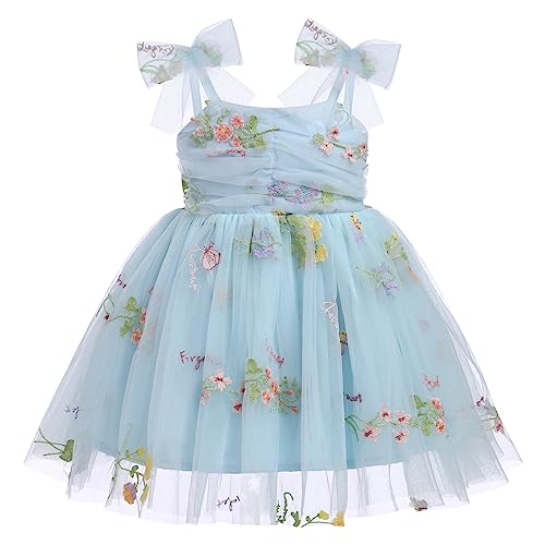 Taufkleid Baby M?dchen Prinzessin Kleid Erster 1 Geburtstag Outfit 1 Jahr Geburtstagskleid Partykleid Blumen Stickerei Tr?gerkleid Sommerkleid Festliches Festkleid T?llkleid Fotoshooting Blau 6-12M von FYMNSI