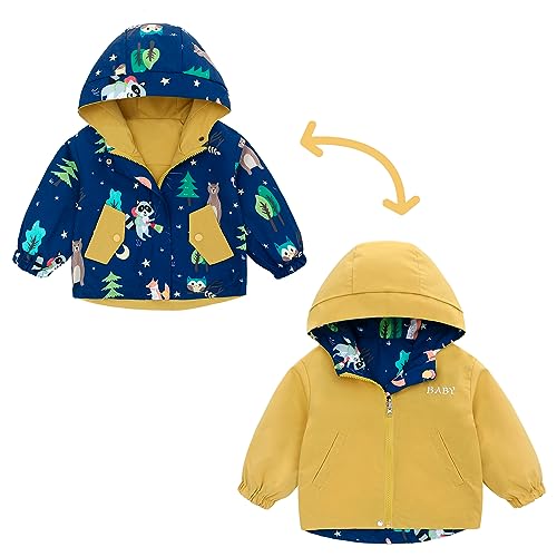 Famuka Wendejacke Baby Jungen Mädchen Jacke Kinder Übergangsjacke Windbreaker (Blau, 24M) von Famuka