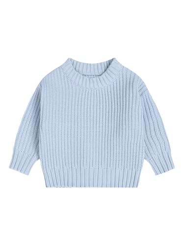 Freebily Kinder Baby Strickpullover Mädchen Jungen Gestrickter Pullover Top Kleinkind Baby Winter Herbst Knitted Sweater Shirt Himmelblau 80-86 von Freebily