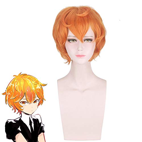 Cosplay Perücke Land Of The Lustrous Zircon Cosplay Costume Houseki No Kuni Men Women Short Synthetic Hair Halloween Party Role Play Wigs Pl-206 von GUANBBD